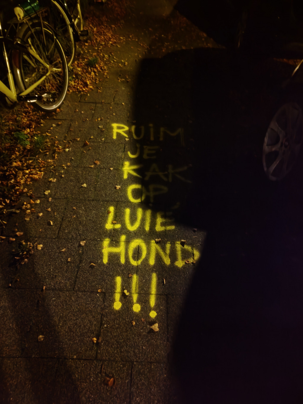 Luie hond